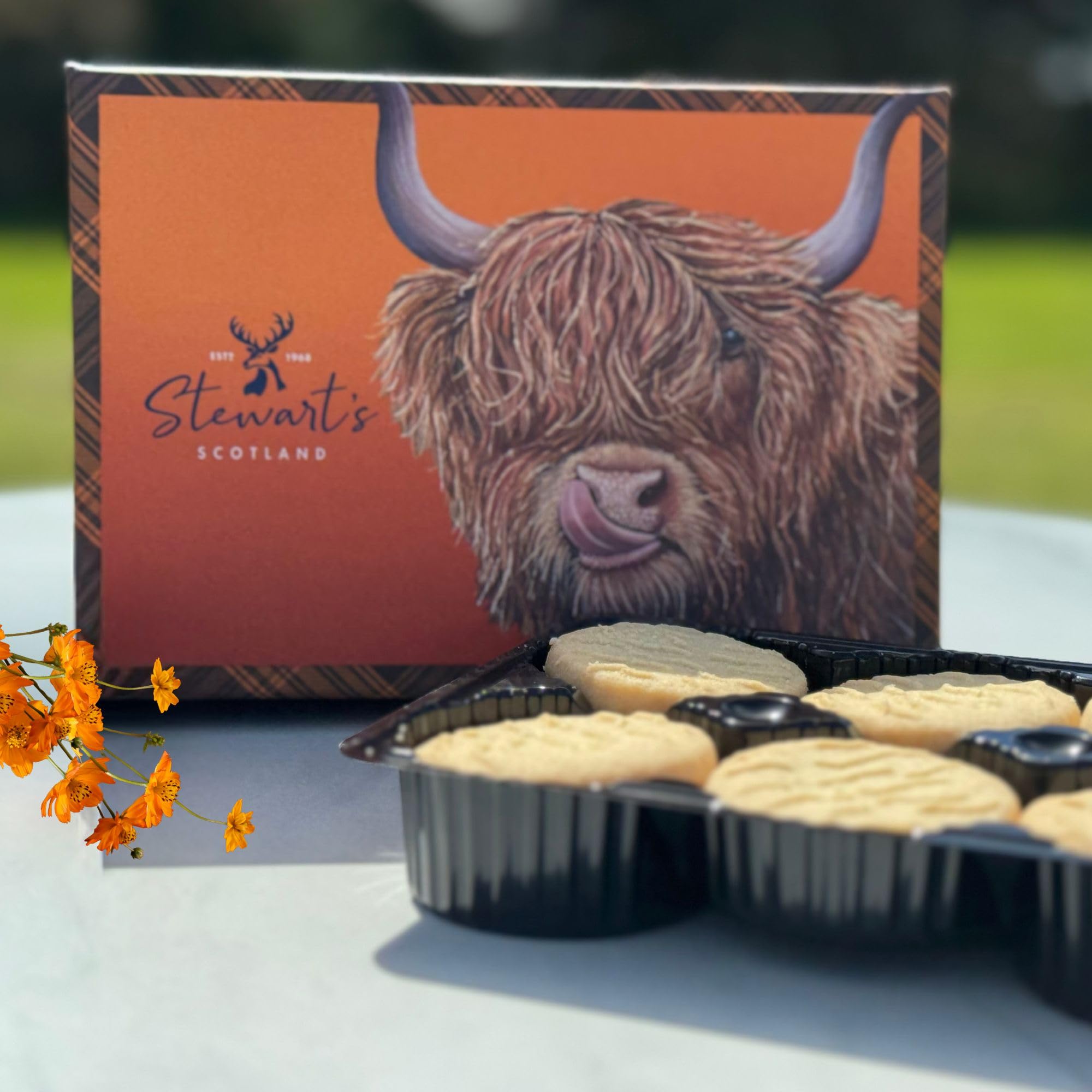 STEWARTS TRADITIONAL SHORTBREAD FINGERS